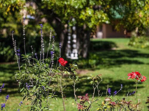 Chartwell Castle & Guest House Екстер'єр фото